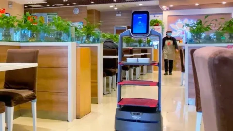Robots de service en restauration : l'atout Nayro